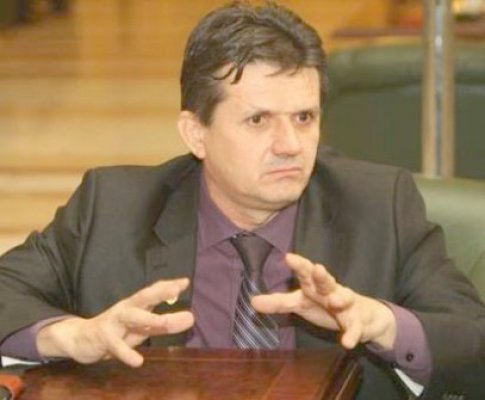 Ioan Iovescu, senator PPDD: